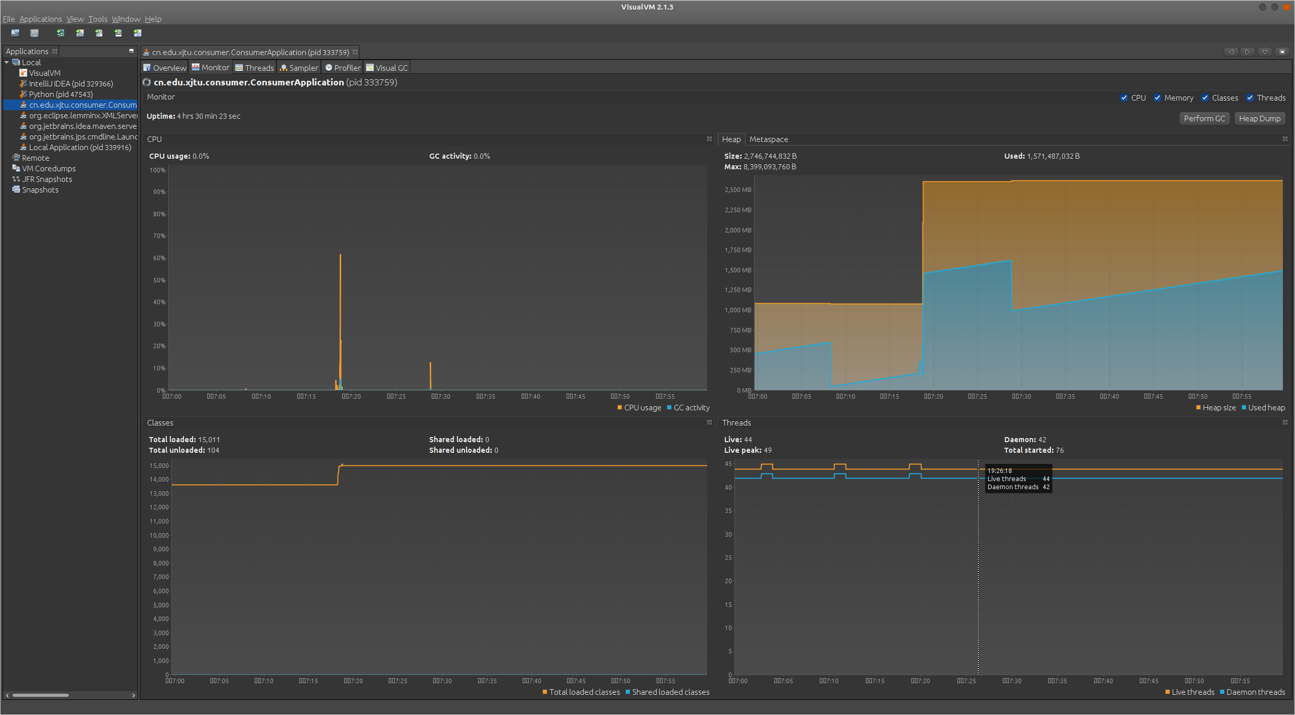 VisualVM Monitor